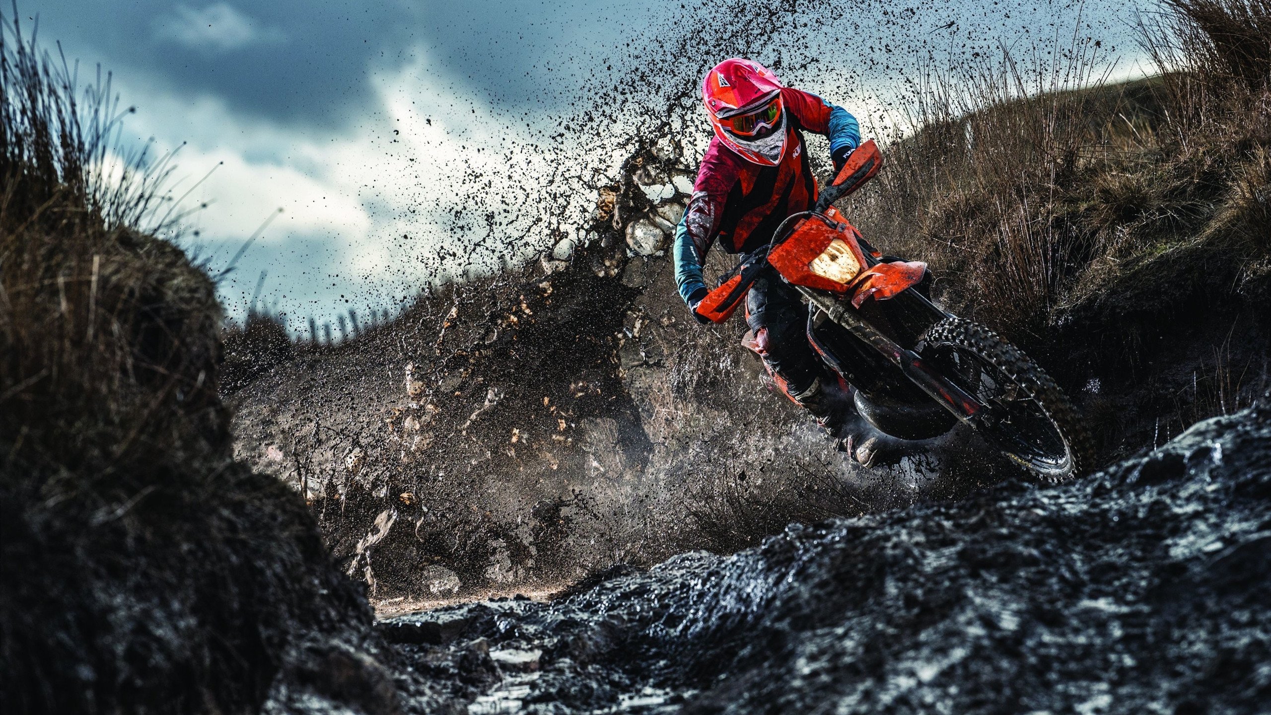 低碳可持续足球场馆建设成行业新风尚，绿色行动蓬勃发展，创意足球场馆